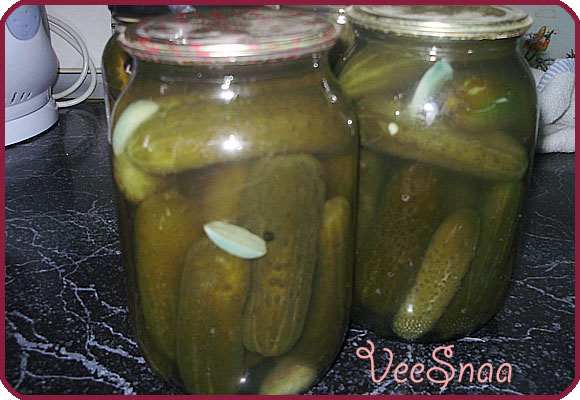 solenye-ogurcy-prigotovlenie-2