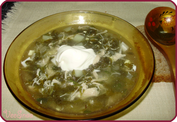 shhavelevyj-sup-s-jajcom-foto-15