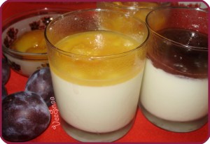 domashnjaja-panna-kotta-1