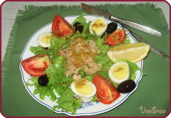 salat-nisuaz-s-tuncom-4