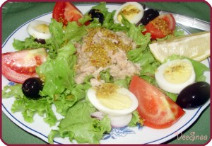 salat-nisuaz-s-tuncom-1