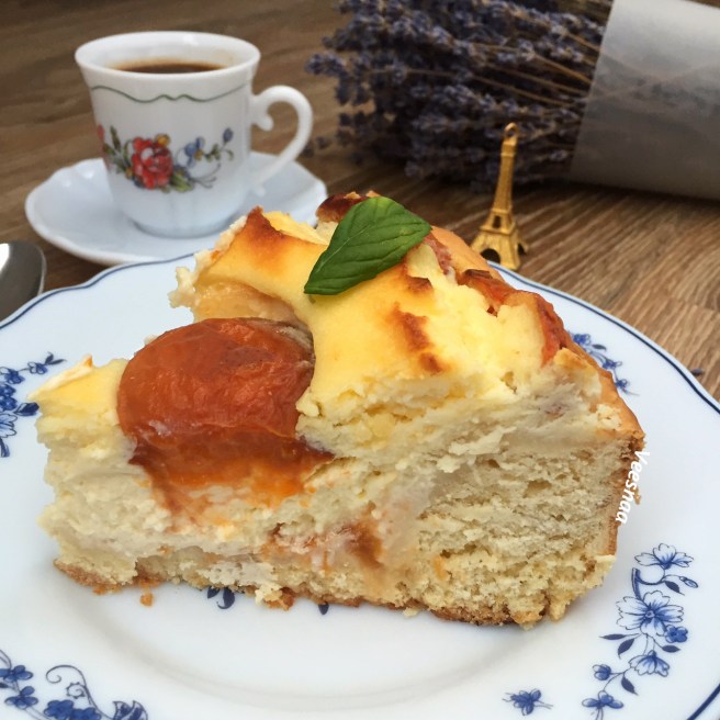 pirog-s-tvorogom-i-abrikosami-5