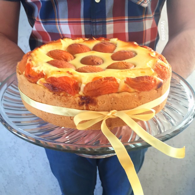 pirog-s-tvorogom-i-abrikosami-2