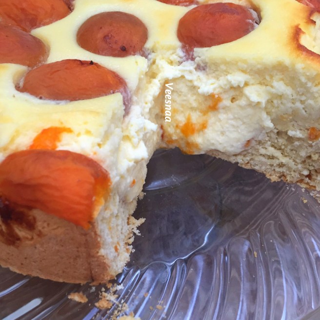 pirog-s-tvorogom-i-abrikosami-3