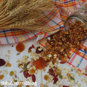 granola-v-domashnih-uslovijah-recept-1