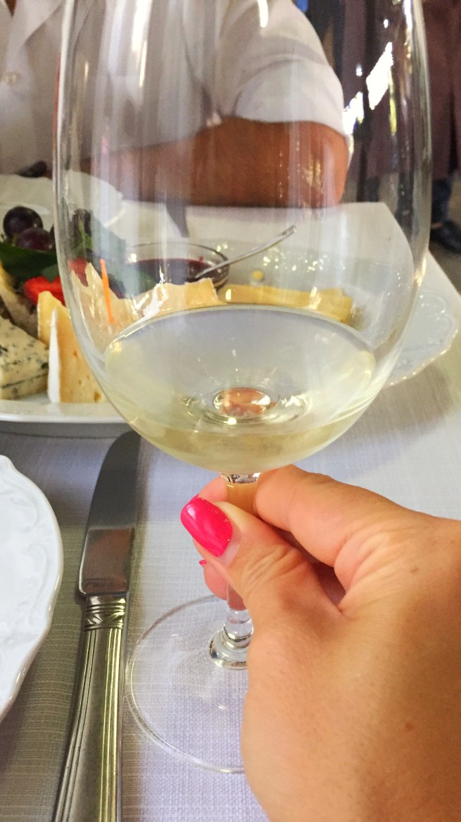 degustacija-syra-i-vina-3